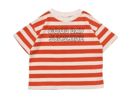 Boys & Girls Red Stripe Cotton T-Shirt For Cheap