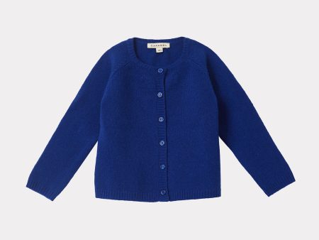 Baby Boys & Girls Blue Wool Cardigan For Discount