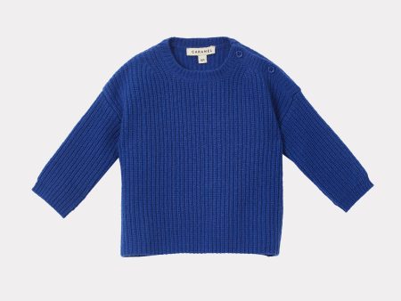 Baby Boys & Girls Blue Wool Sweater Supply