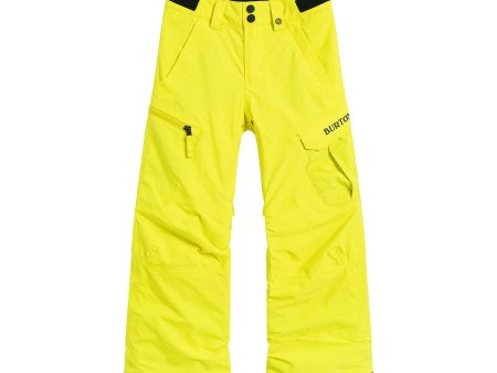 Boys Yellow Ski Trousers Online now